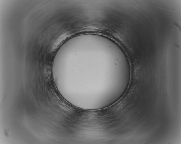 X0000102231355200808081338