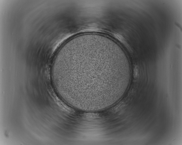 X0000102231356200808081338
