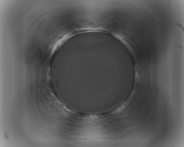 X0000102231357200808081338