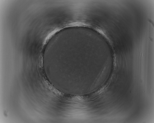 X0000102231358200808081338