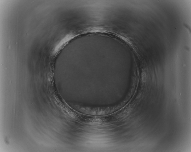 X0000102231359200808081338