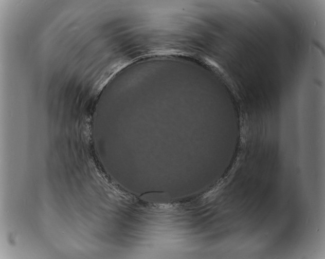 X0000102231361200808081338