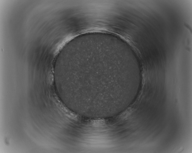 X0000102231363200808081338