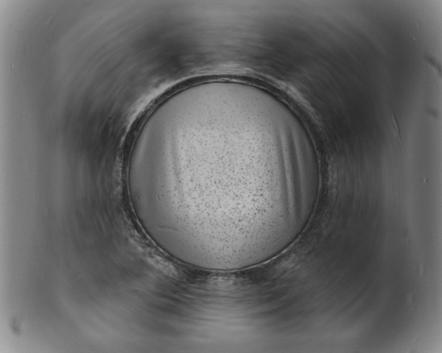 X0000102231364200808081338