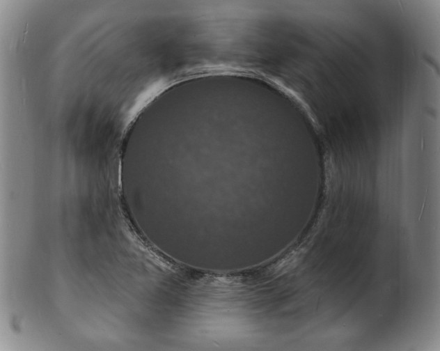 X0000102231365200808081338