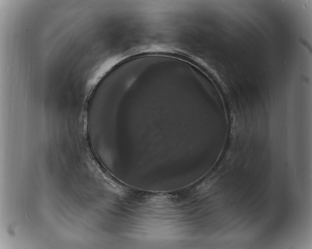 X0000102231367200808081338