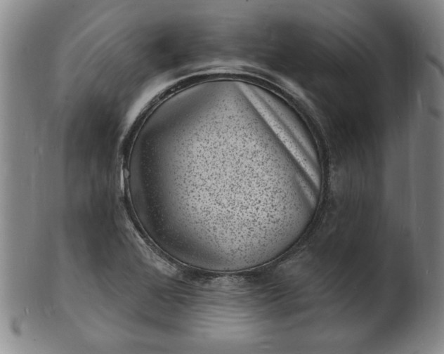 X0000102231368200808081338