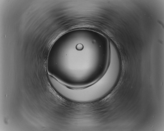 X0000102231369200808081338