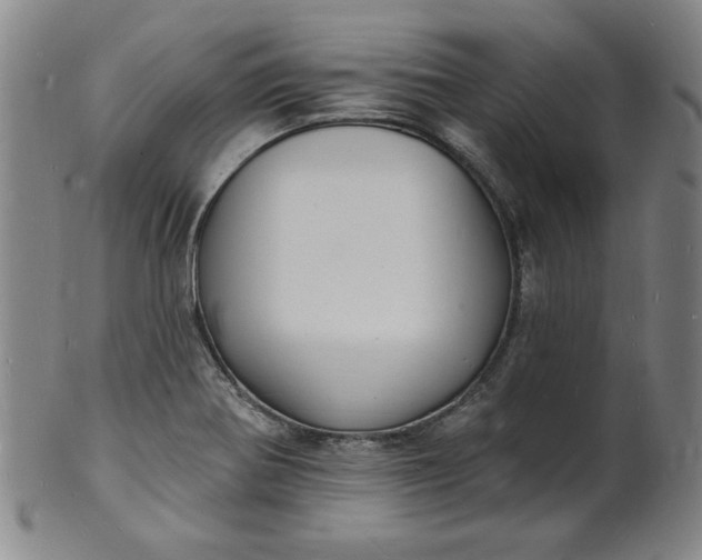 X0000102231370200808081337