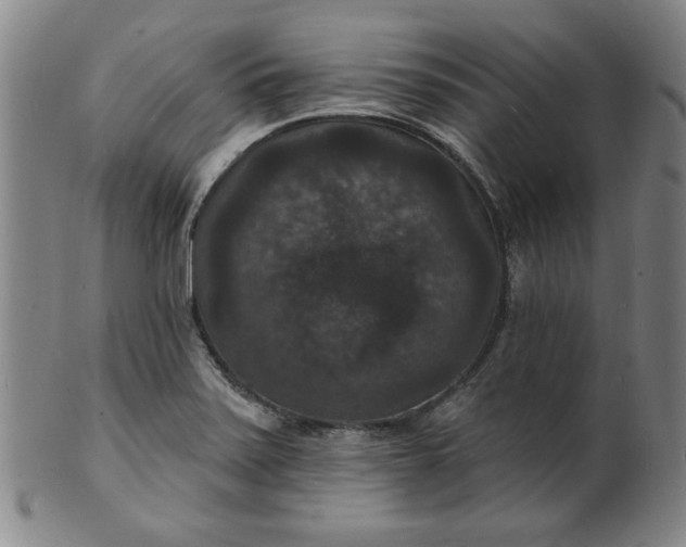 X0000102231371200808081337