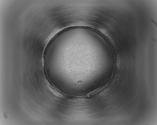X0000102231372200808081337
