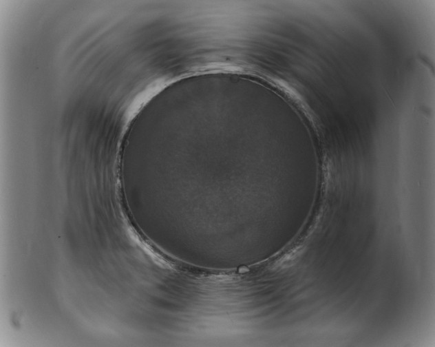 X0000102231373200808081337