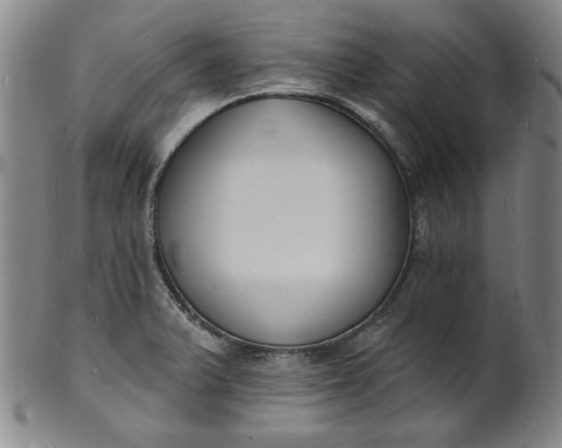 X0000102231375200808081337