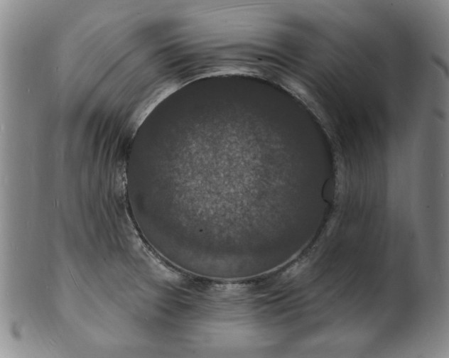 X0000102231377200808081337