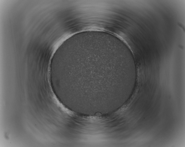 X0000102231379200808081337