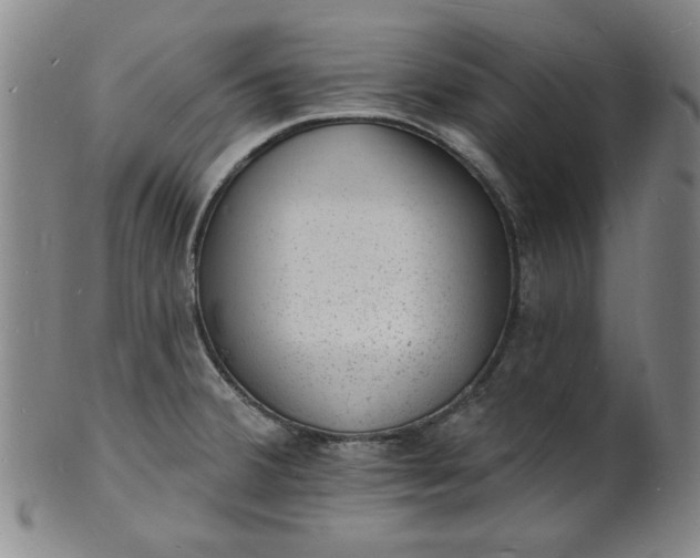 X0000102231380200808081337