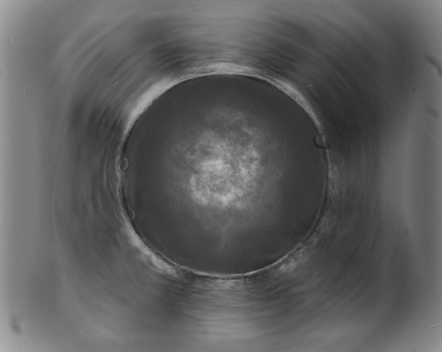 X0000102231381200808081337