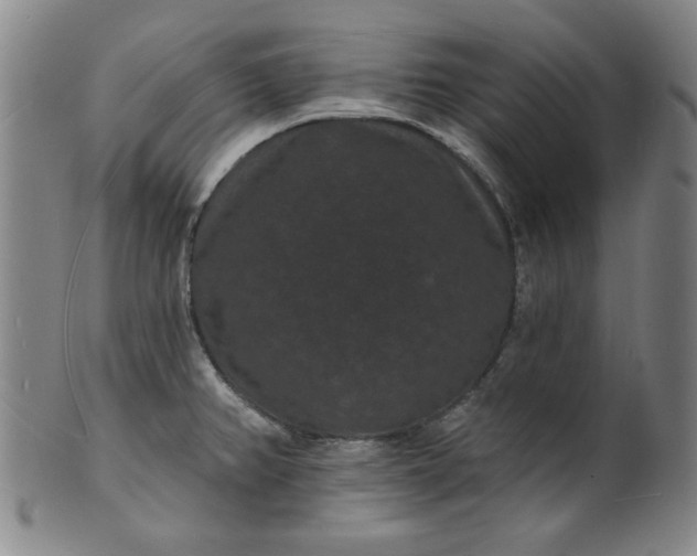 X0000102231382200808081337