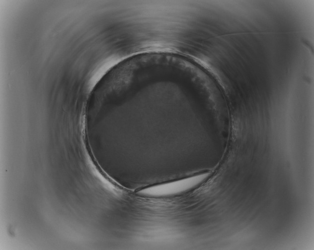 X0000102231383200808081337