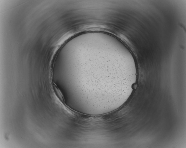 X0000102231384200808081337