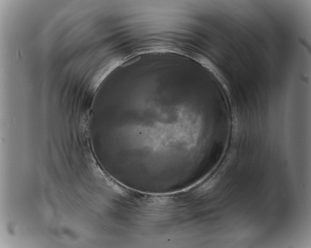 X0000102231385200808081337