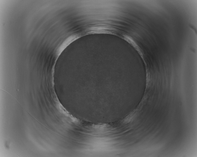 X0000102231386200808081337