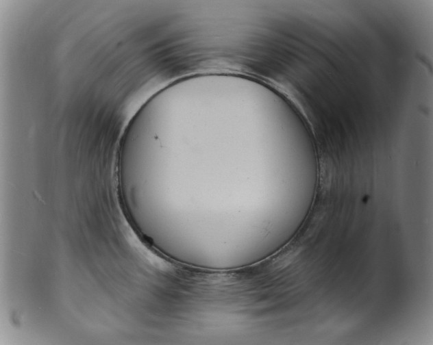 X0000102231387200808081337