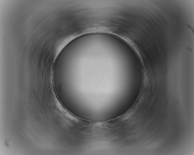 X0000102231390200808081337