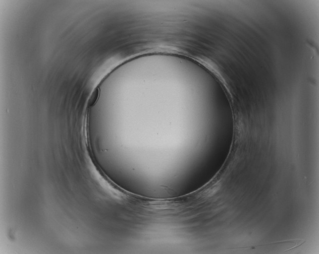 X0000102231391200808081337