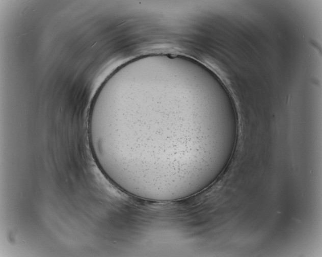 X0000102231392200808081337