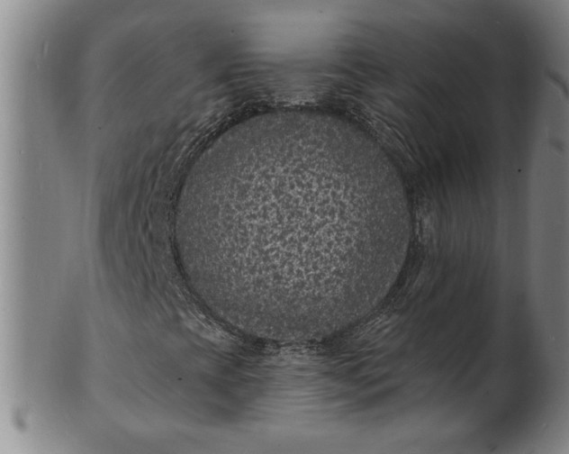 X0000102231393200808081336