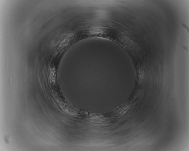 X0000102231394200808081336
