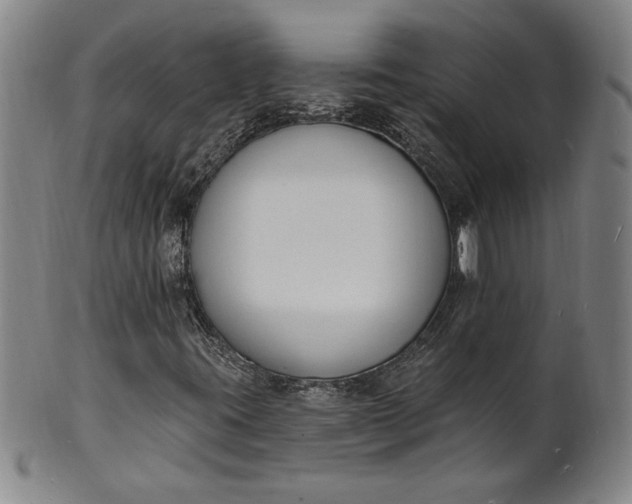 X0000102231395200808081336