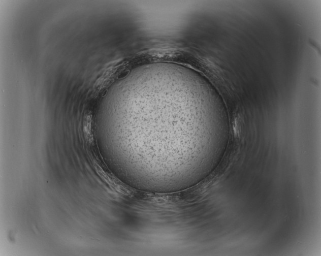 X0000102231396200808081336