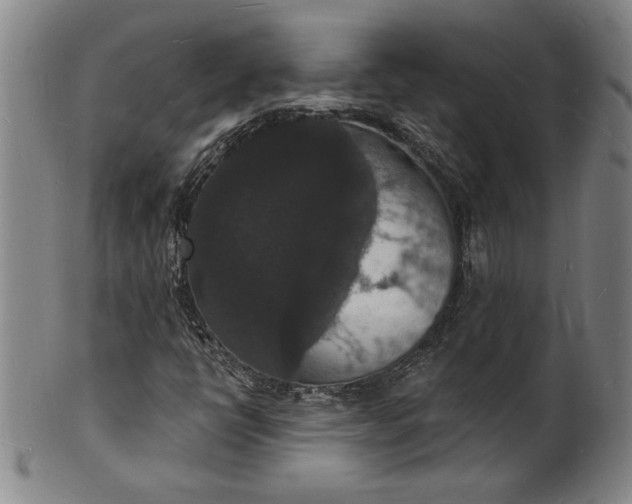 X0000102231398200808081336