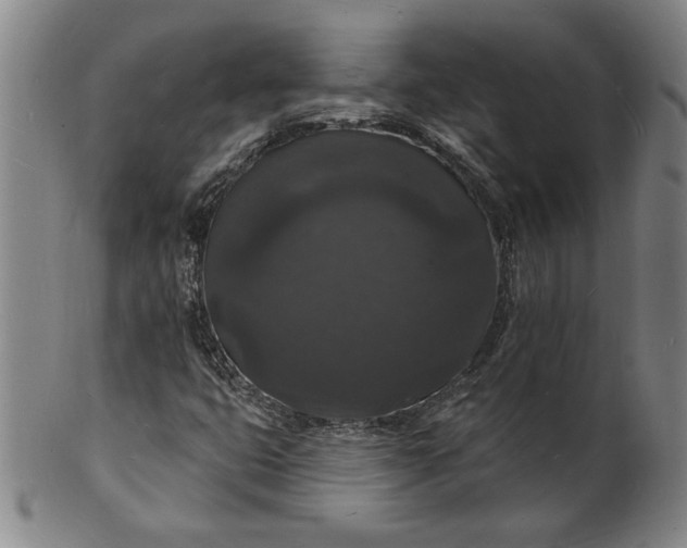 X0000102231399200808081336