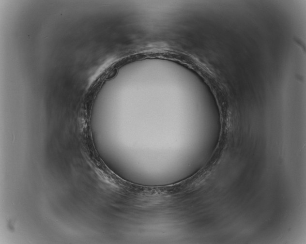 X0000102231400200808081336