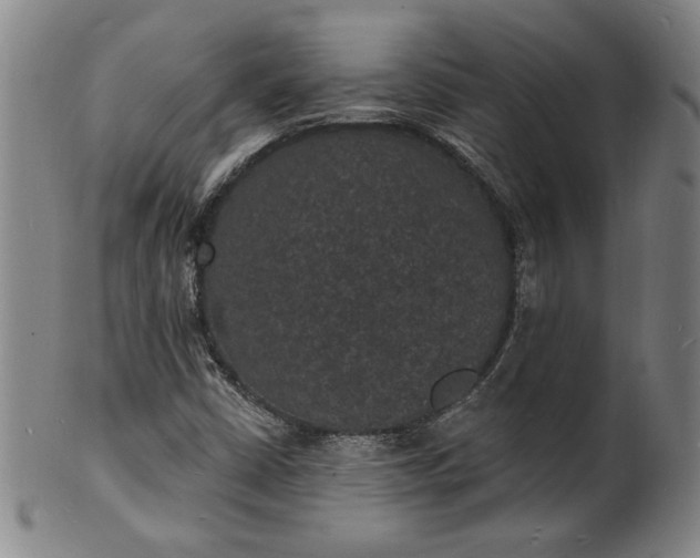 X0000102231402200808081336