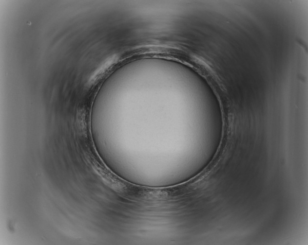 X0000102231403200808081336