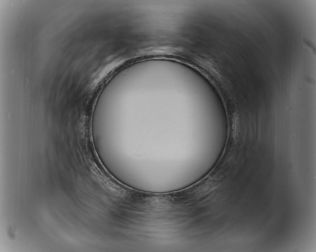 X0000102231404200808081337