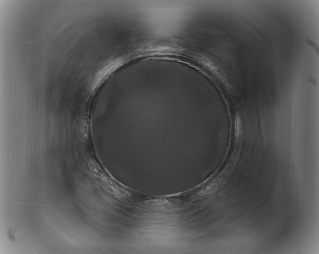 X0000102231405200808081337