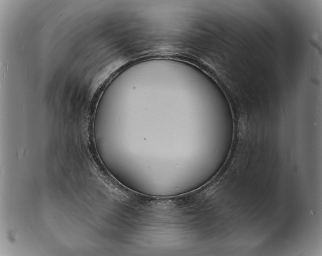 X0000102231410200808081337