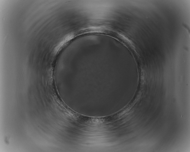 X0000102231411200808081337