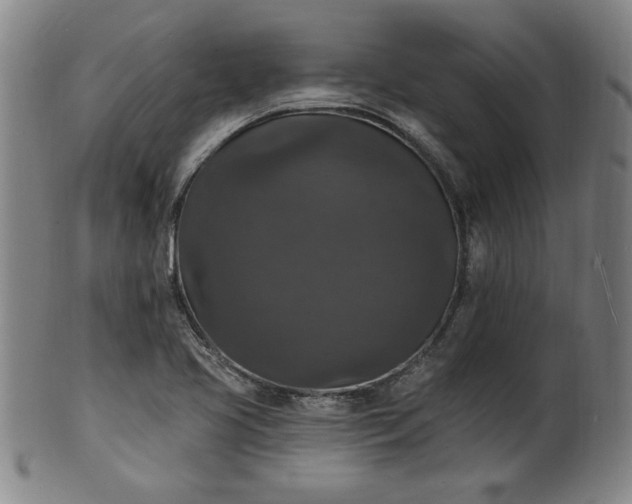 X0000102231413200808081337