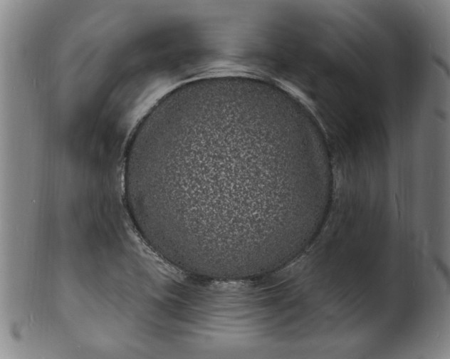 X0000102231415200808081337