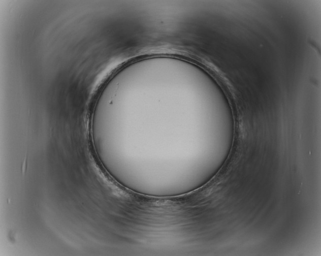 X0000102231416200808081337