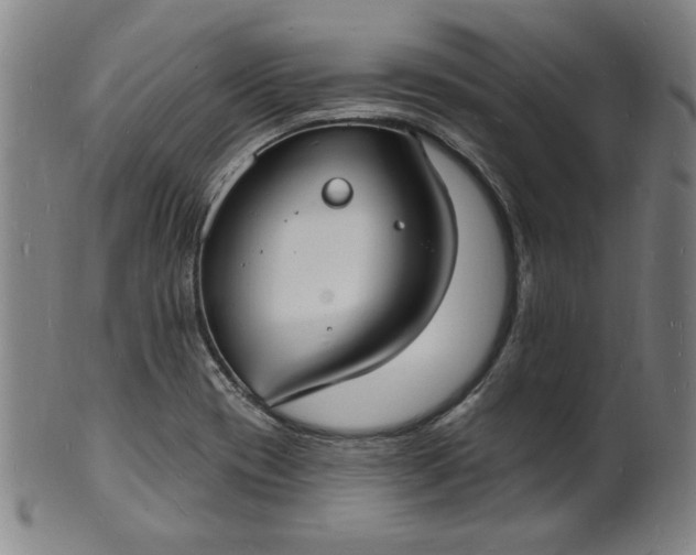 X0000102231417200808081337