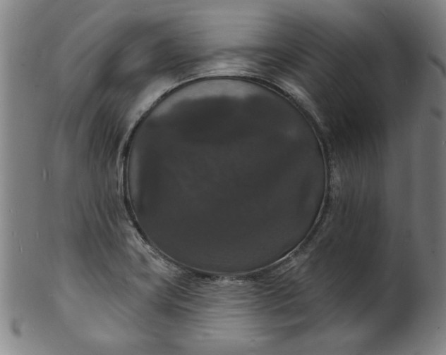 X0000102231419200808081337
