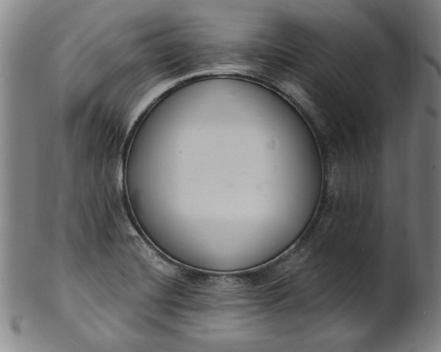 X0000102231420200808081337