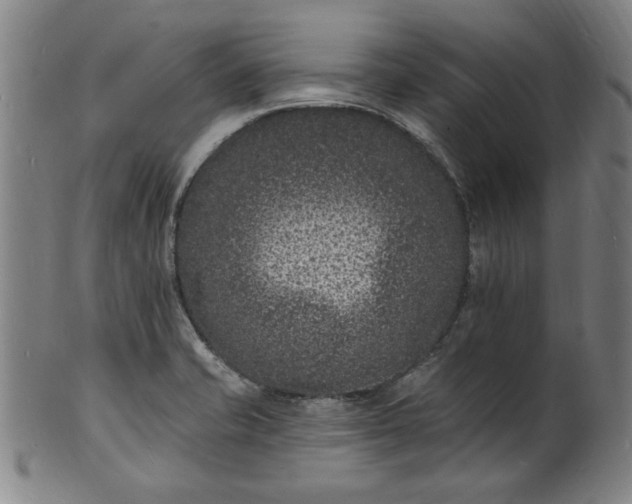 X0000102231421200808081337